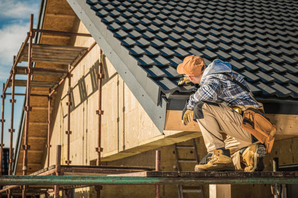 Best Metal Roofing Installation  in Leadington, MO