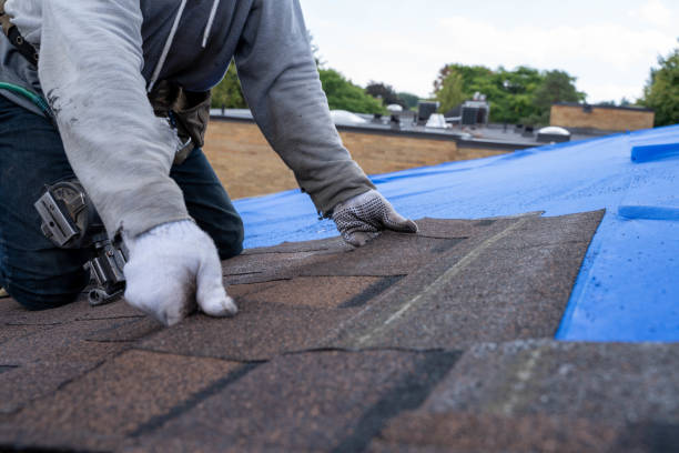 Emergency Roof Repair in Leadington, MO